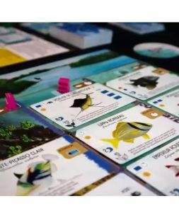 Finspan le ludozaure auray jeu de société