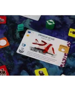 Finspan le ludozaure auray jeu de société